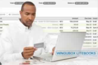 wingubox litebooks - online accounting